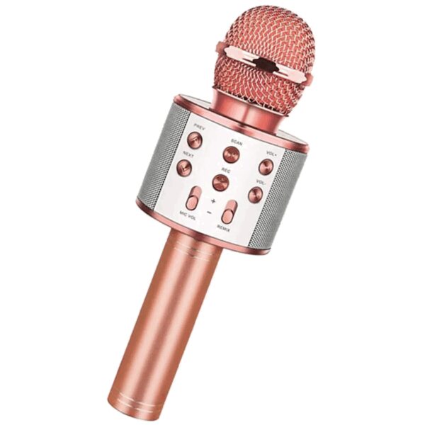 Bluetooth Karaoke Mikrofon (4767)