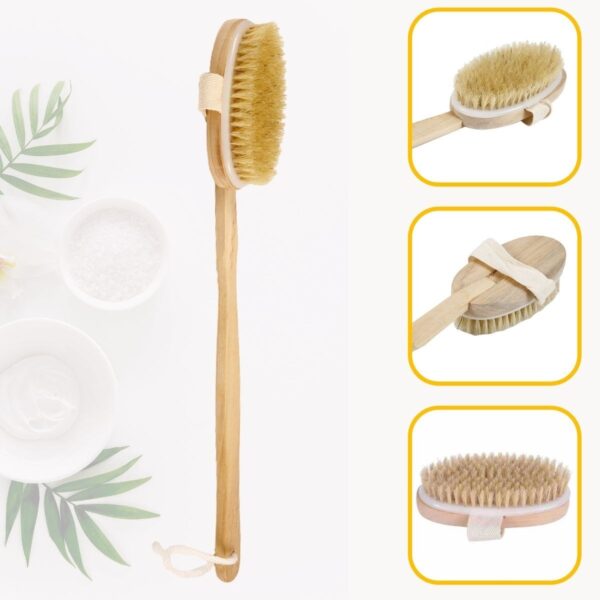 Doğal At Kılı Selülit Karşıtı Sapı Çıkabilen Ahşap Banyo Fırçası (4767)