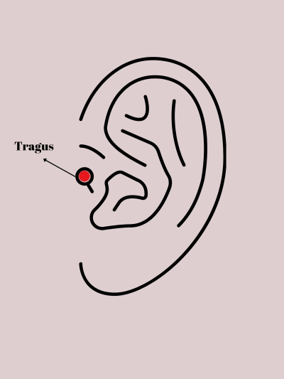 316l-celik-gumus-renk-pembe-zirkon-tasli-kalp-tragus-piercing-220429377-sw1200sh1800