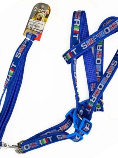 euro-dog-kopek-uzatma-tasmasi-ve-gogus-tasmasi-takimi-mavi-beyaz-20-mm-120-cm-182106358-sw600sh600