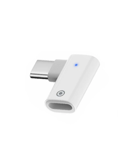 Ally L Tipi Lightning To Type-c Dönüştürücü Apple Pencil Kalem Şarj Adaptörü-