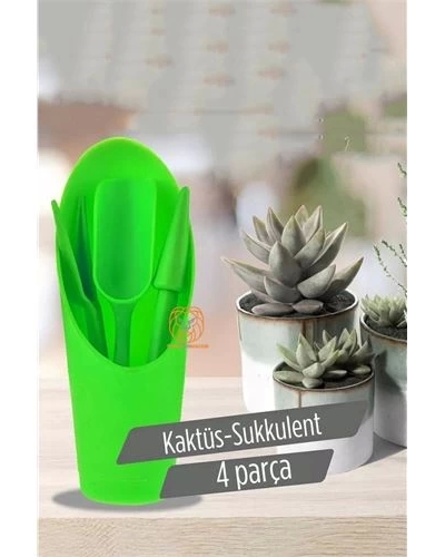 kaktus-sukkulent-dikim-seti-136606480-sw500sh500