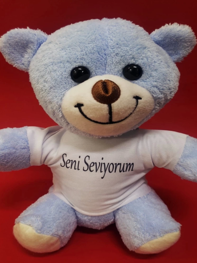 mavi-seni-seviyorum-tisortlu-ayi-166271837-sw1000sh1000