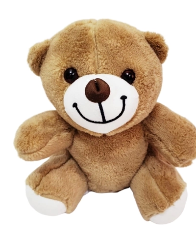 sevimli-pelus-ayicik-113931873-sw500sh500